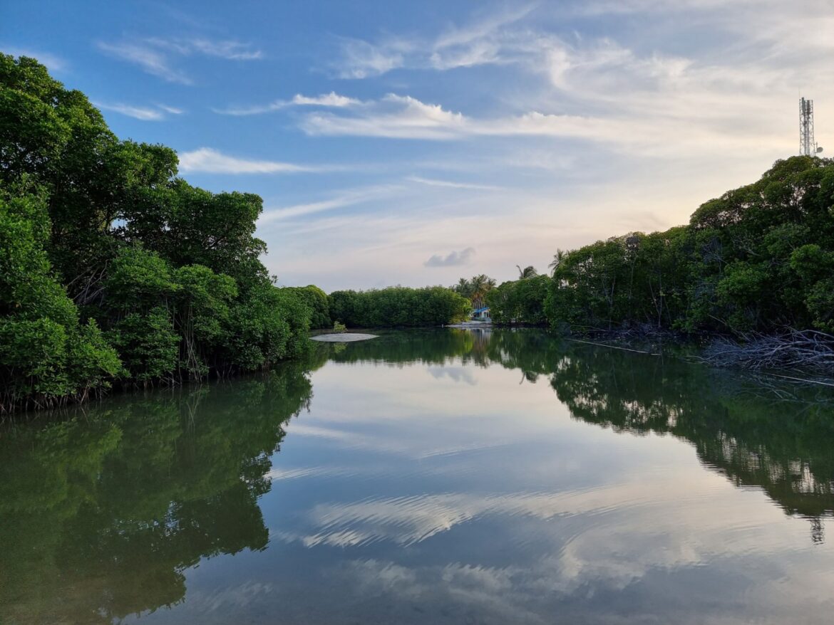 Huraa Mangroves (Kulhi)